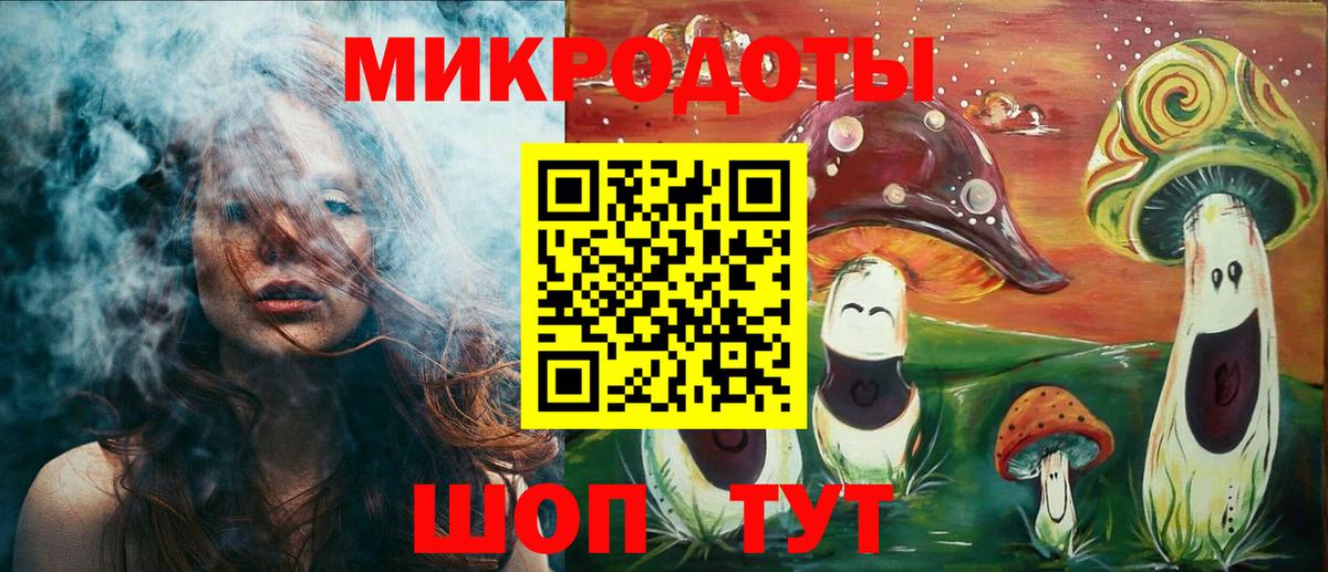 Галлюциногенные грибы Psilocybe Дивногорск