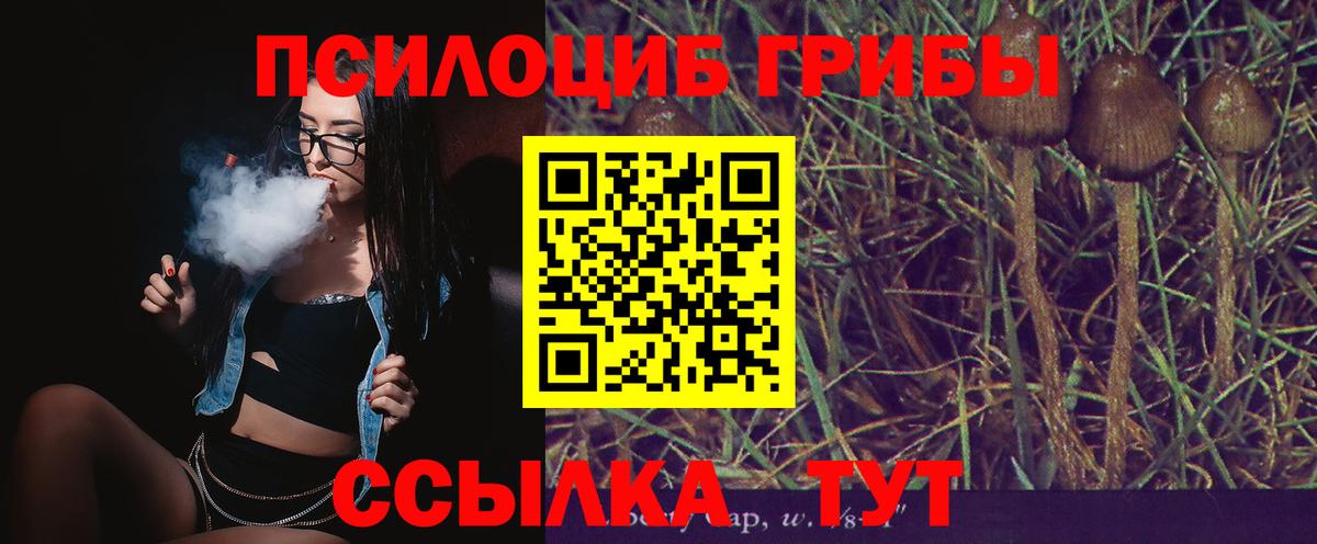 Псилоцибиновые грибы Psilocybine cubensis  Псилоцибиновые грибы Cubensis  Вход с VPN  Дивногорск 
