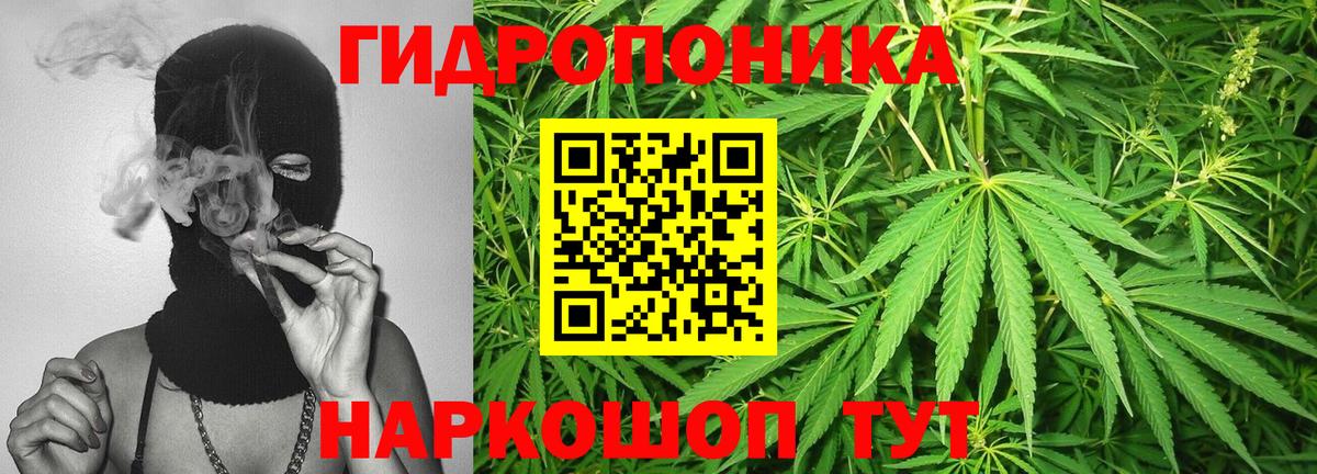 Бошки Шишки гибрид  Шишки марихуана марихуана  Вход с VPN  Марихуана Ganja  Дивногорск  МАРИХУАНА планчик 